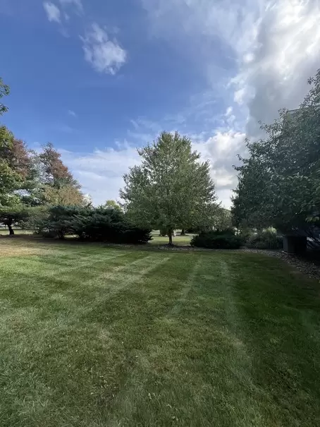 IMG_4673 (1) IMG_4673 (1)