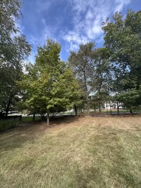 IMG_4674 (1) IMG_4674 (1)