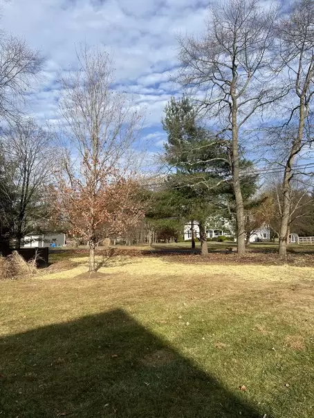 IMG_4838 (1) IMG_4838 (1)