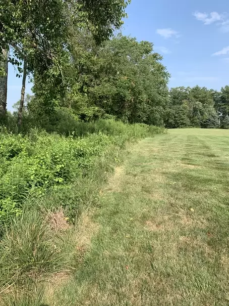 IMG_6493 (1) IMG_6493 (1)