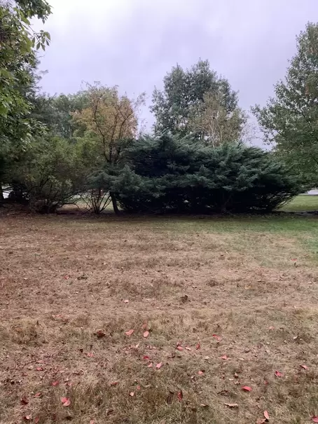 IMG_6739 (1) IMG_6739 (1)