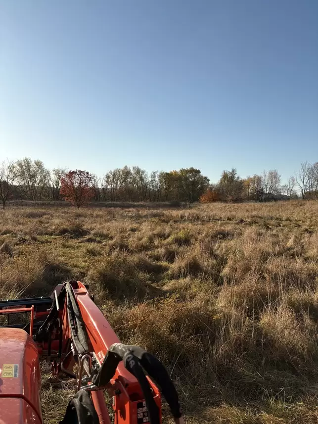 IMG_6807 (1) IMG_6807 (1)