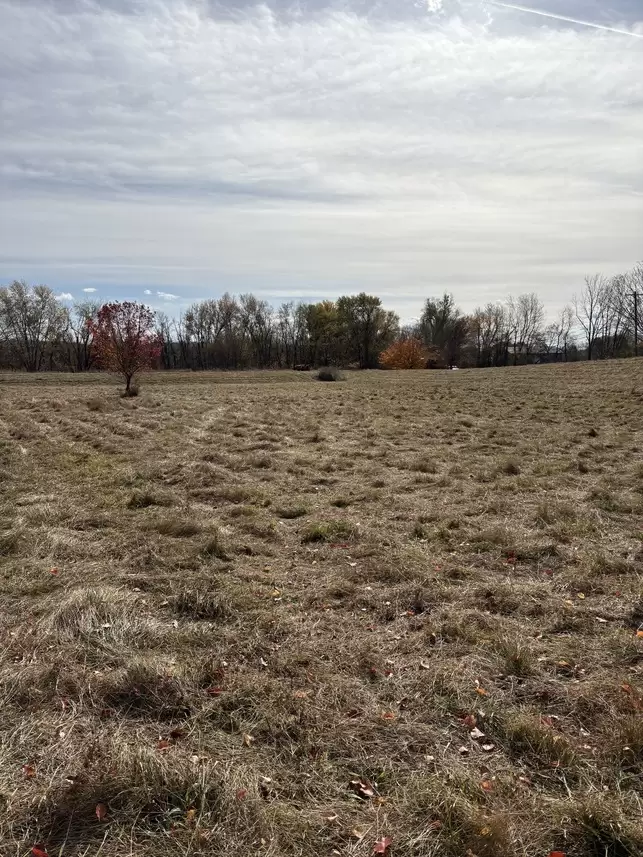 IMG_6810 (1) IMG_6810 (1)